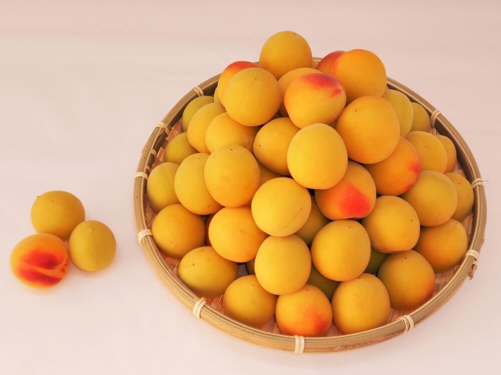 ［梅干づくり用］紀州南高梅2kg（3Lサイズ）