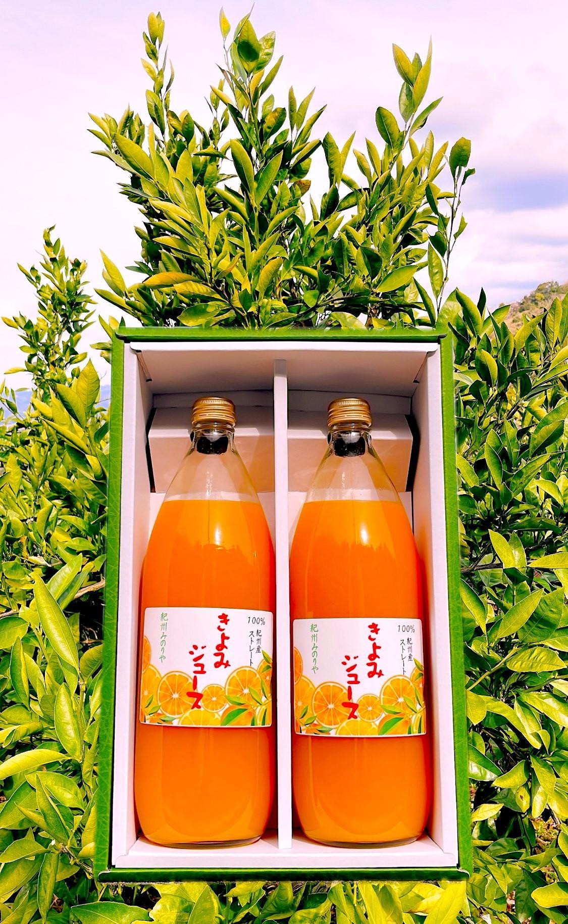 清見オレンジ ジュース 100％ 1000ml 2本セット