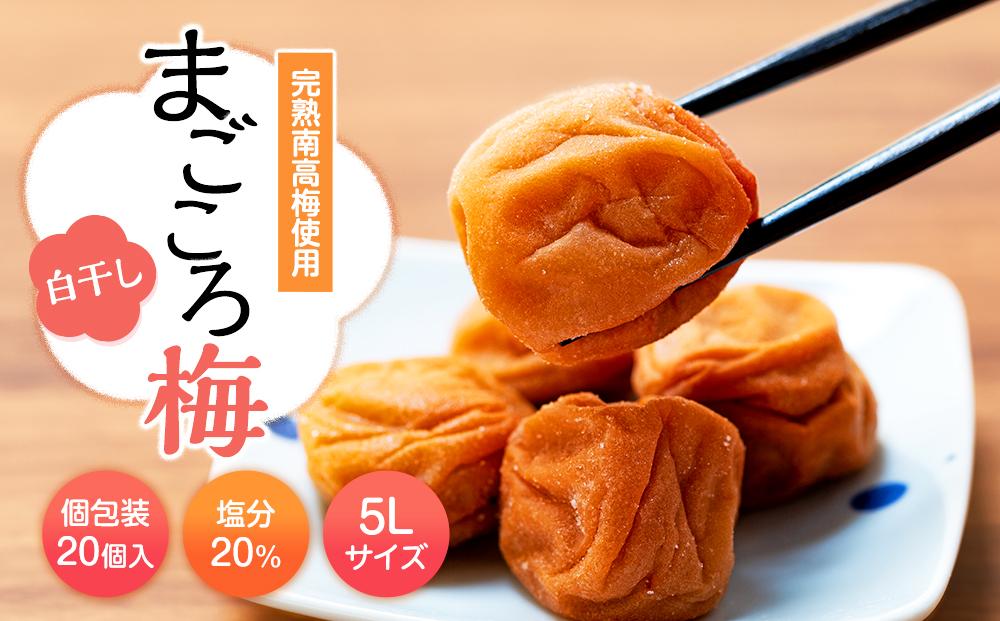まごころ梅　白干し　塩分20％　5Lサイズ　個包装　１２個入り
