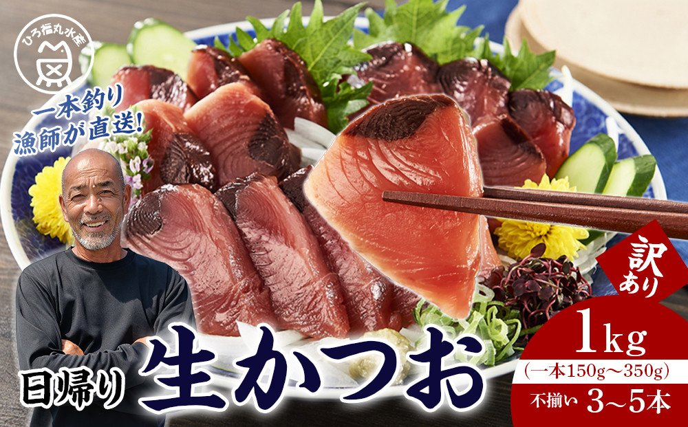 かつお一本釣り漁師が直送！ 日帰り生かつお 訳あり 1kg入