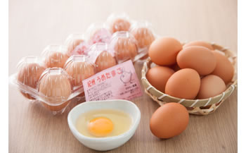 紀州うめ卵 40個　