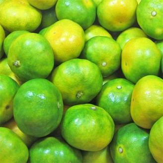 【産直】YN26極早生みかん約5kg(2S～Mサイズおまかせ)(上富田町)【配送不可地域：離島】