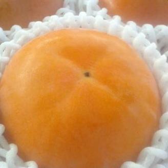 【厳選・産直】和歌山産の富有柿3L・4Lサイズ約4kg(化粧箱入り)(上富田町)