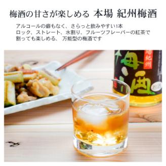 本場紀州 梅酒 6本セット
