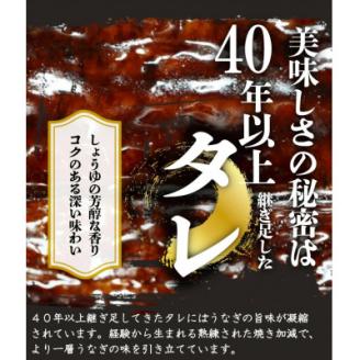【上富田町】大型サイズ　ふっくら柔らか国産うなぎ蒲焼き　2尾【配送不可地域：離島】