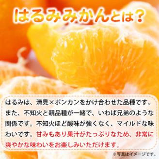 果肉ぷりぷり!完熟はるみ　5kg