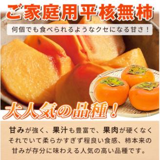 【ご家庭用わけあり】和歌山秋の味覚　平核無柿(ひらたねなしがき)　約3.5kg