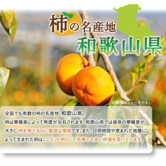 【2026年発送】【上富田町】和歌山秋の味覚　富有柿　約7.5kg