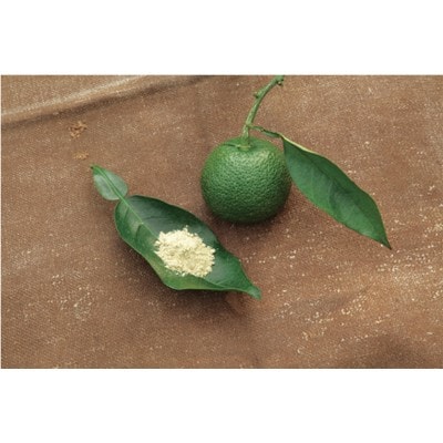 じゃばらパウダー(100g×2袋) 北山村産じゃばらを使用