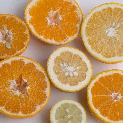 ＜3月より発送＞家庭用 有田の柑橘詰合せ3kg+90g(傷み補償分)【旬の柑橘詰め合わせ】