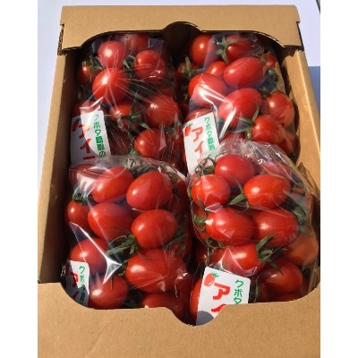 和歌山県産 ミニトマト「アイコ」約2kg【2022年6月上旬以降出荷】(上富田町)【配送不可地域：離島】