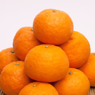 ＜6月より発送＞厳選手詰 なつみ1.7kg+51g(傷み保証分)　【南津海】(上富田町)