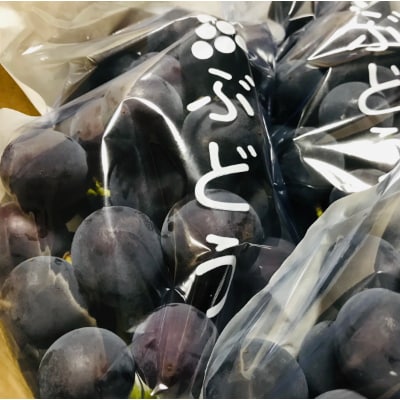 【夏秋の美味】フルーツ王国和歌山の濃厚ブラックオリンピア(はちみつぶどう)　約1kg(2～3房)【配送不可地域：離島】