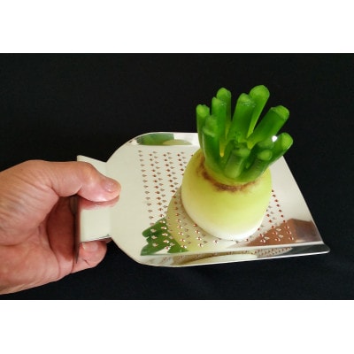 手打ちおろし金　小10段　