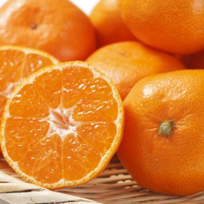 [秀品]和歌山有田みかん約4kg(2Lサイズ)