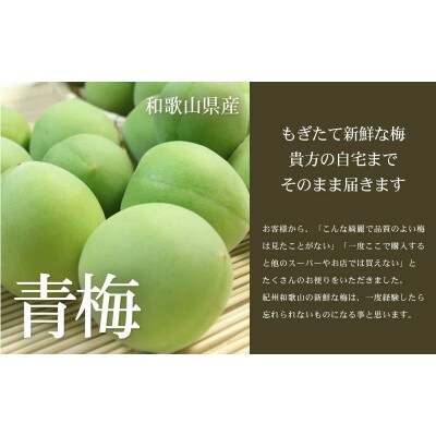 厳選南高梅 フレッシュ青梅(生梅)【緑】5kg 大サイズ 朝取り手選別 南高梅 梅酒用 うめ【配送不可地域：離島・北海道・沖縄県・東北】
