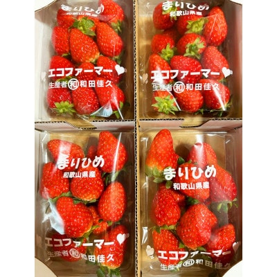 紀州和歌山ブランドいちご「まりひめ」約250g×4P【配送不可地域：離島・北海道・沖縄県】