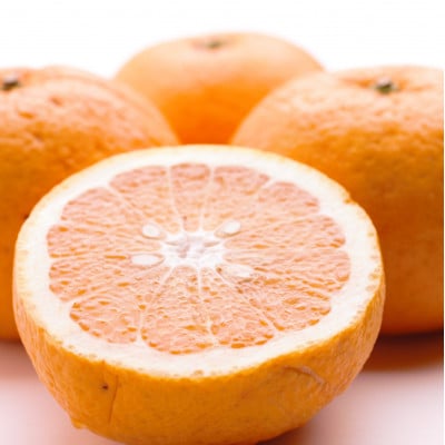 ＜4月より発送＞厳選甘夏柑4kg+120g(傷み補償分)【初夏のみかん】【有田産】【光センサー選別】【配送不可地域：離島・北海道・沖縄県】