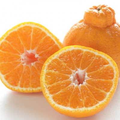 【濃厚】有田産不知火約4kg(M～3Lサイズ混合)(上富田町)