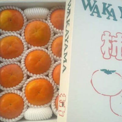 【厳選・産直】和歌山産富有柿約4kg 化粧箱入り(2L～4Lサイズおまかせ)(上富田町)