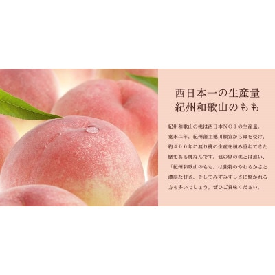 和歌山の桃 秀品:[約3.8～4kg](サイズ・品種おまかせ) 産地直送【配送不可地域：離島・北海道・沖縄県・東北・関東・九州】