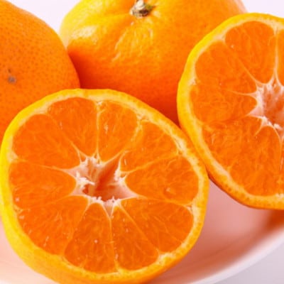 【訳あり・ご家庭用】和歌山由良町産のみかん約5kg(上富田町)