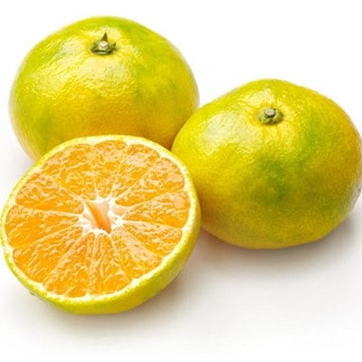 【極早生みかんの逸品】和歌山県産ゆら早生みかん約5kg(秀品)【上富田町】