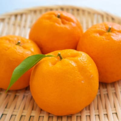 和歌山産ポンカン約5kg(サイズ混合・秀優品)(上富田町)