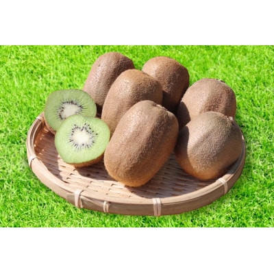 和歌山産　キウイフルーツ　M～4Lサイズ　約3.6kg　秀品