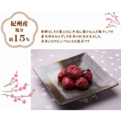 紀州南高梅しそ塩分約15%(500g)
