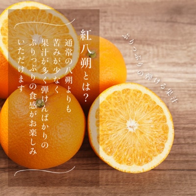 先行予約!紅はっさく 約5kg/12～18個入り(L～2Lサイズ)こだわり農家厳選!