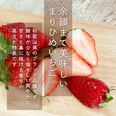 まりひめいちご4パック　人気の食べやすいひと口サイズ(1パック15～20粒入)こだわり農家厳選!【配送不可地域：離島】