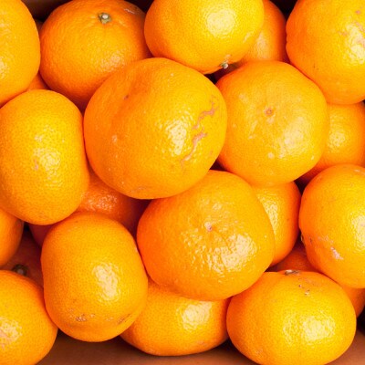 家庭用 大きな有田みかん2.5kg+250g(傷み補償分)【光センサー選果】【訳あり】【配送不可地域：離島・北海道・沖縄県】