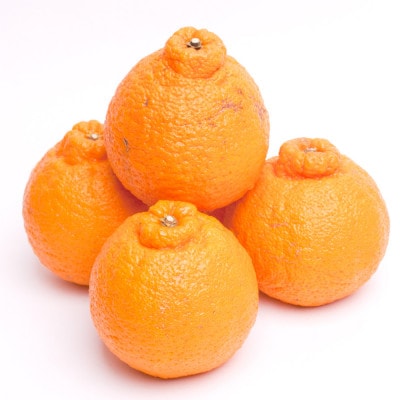 厳選 不知火2.5kg+250g(傷み補償分)【デコポンと同品種・人気の春みかん】【配送不可地域：離島・北海道・沖縄県】