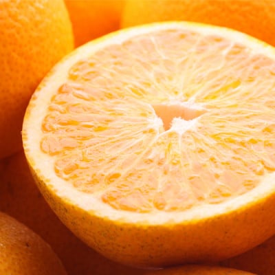 家庭用 はっさく5kg+250g(傷み補償分)【八朔みかん】【光センサー選別】【訳あり】【配送不可地域：離島・北海道・沖縄県】