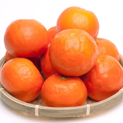 厳選 セミノールオレンジ1kg+250g(傷み補償分)【春みかん】【有田産】【光センサー食べ頃出荷】【配送不可地域：離島・北海道・沖縄県】