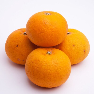 厳選 甘夏柑2.5kg+250g(傷み補償分)【初夏のみかん・旬の果物】【有田産】【光センサー出荷】【配送不可地域：離島・北海道・沖縄県】