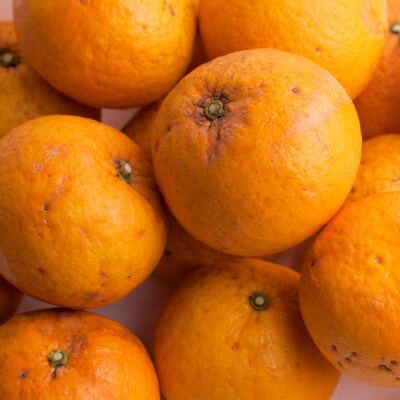 家庭用 甘夏柑5kg+250g(傷み補償分)【初夏のみかん・旬の果物】【有田産】【訳あり】【配送不可地域：離島・北海道・沖縄県】