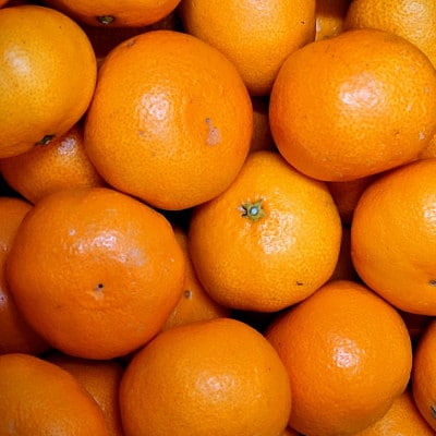 「農園直送」有田の旬の食べごろみかん約5kg(サイズ混合)(上富田町)