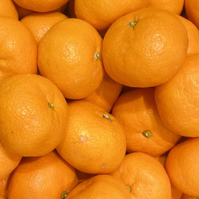 [秀品]和歌山有田みかん約9kg大玉(2Lサイズ)「2026年11月中旬より順次発送」【上富田町】