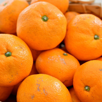 [秀品]紀州有田みかん約5kg(S～Lサイズ混合)「2025年11月中旬より順次発送」(上富田町)