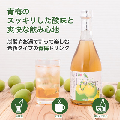 希釈用梅ドリンク 梅ハニップ 3本セット