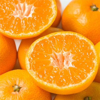 【食べごたえ十分】和歌山有田みかん大玉約9kg(3Lサイズ・秀品)【上富田町】