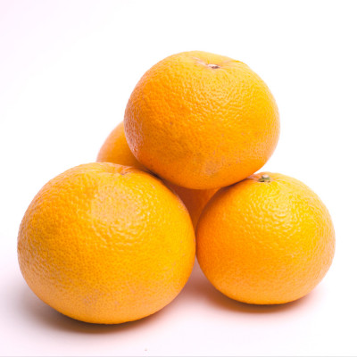 厳選 樹上完熟はっさく5kg+250g(傷み補償分)【有田の春みかん・五月八朔・木生りはっさく】【配送不可地域：離島・北海道・沖縄県】