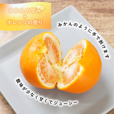 先行受付!　はれひめ(みかんの希少種)　秀品　25個～30個入　約5kg