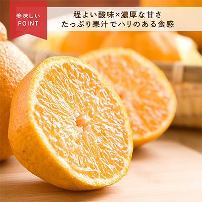 先行受付　不知火　希少な樹上完熟!　秀品大玉　6個入