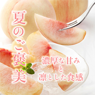 桃先行受付!　【川中島白桃】　(大玉特秀品)　約2kg　6～9個入　こだわり農家厳選!【配送不可地域：離島】
