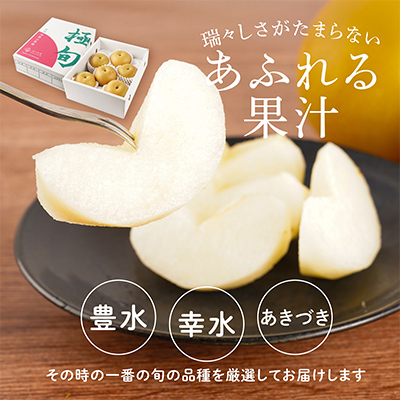 先行予約!　旬の梨　極上秀品(中玉～大玉)6～8個入り　2026年8月中旬頃から発送【配送不可地域：離島】