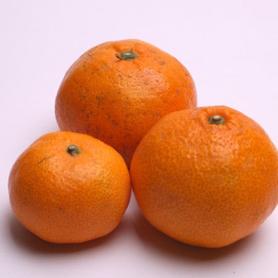 家庭用 完熟有田みかん5kg+250g(傷み補償分)【光センサー選果】【訳あり】【配送不可地域：離島・北海道・沖縄県】