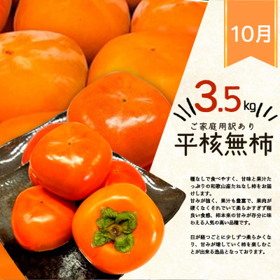 【発送月固定定期便】紀州和歌山産旬のご家庭用果物セット(ひらたね・富有柿・みかん)全3回